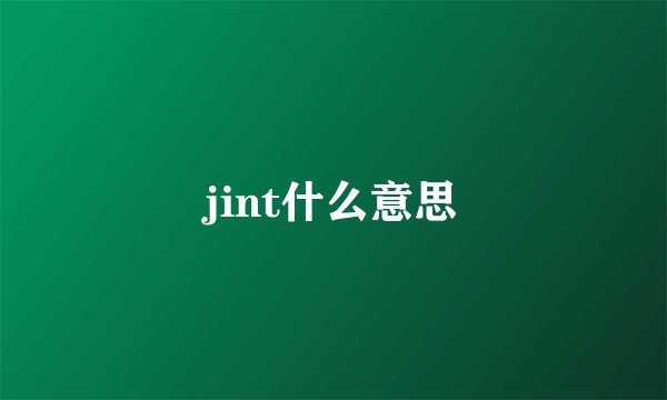 jint什么意思
