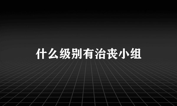 什么级别有治丧小组