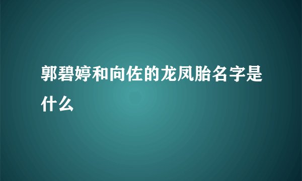 郭碧婷和向佐的龙凤胎名字是什么