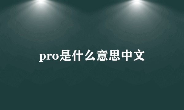 pro是什么意思中文