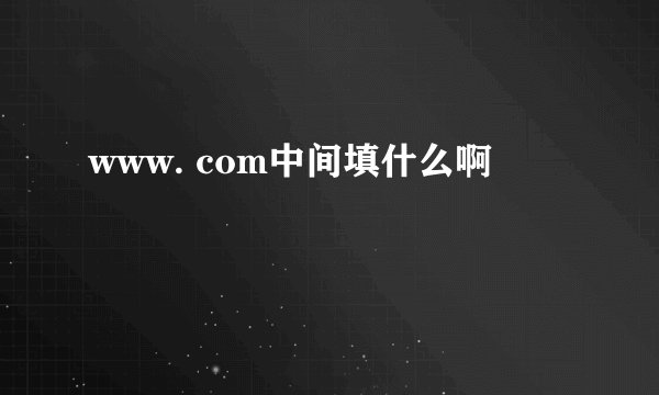 www. com中间填什么啊
