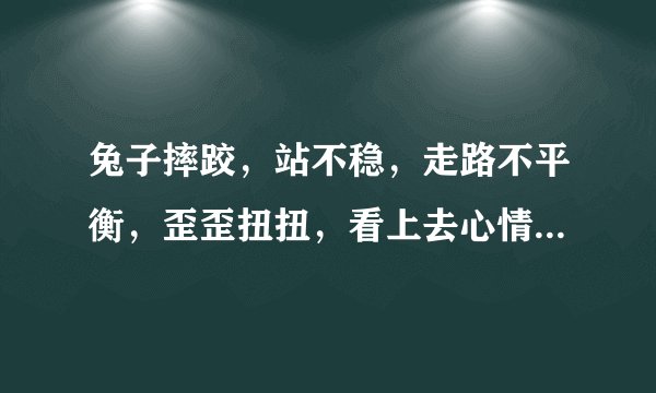 兔子摔跤，站不稳，走路不平衡，歪歪扭扭，看上去心情郁闷。。