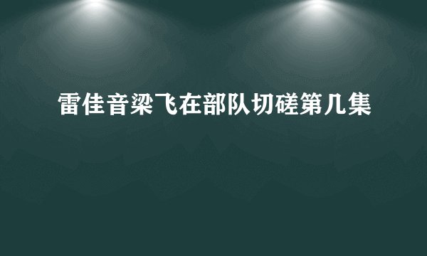 雷佳音梁飞在部队切磋第几集
