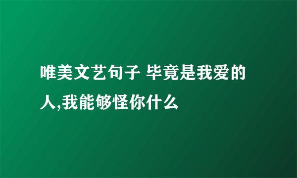 唯美文艺句子 毕竟是我爱的人,我能够怪你什么