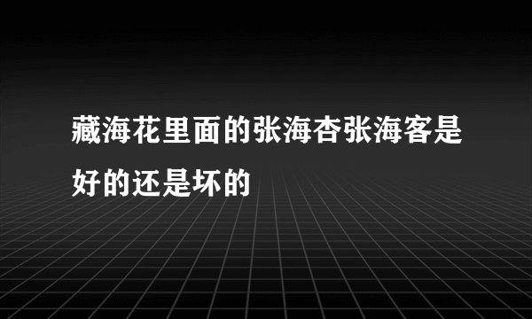 藏海花里面的张海杏张海客是好的还是坏的