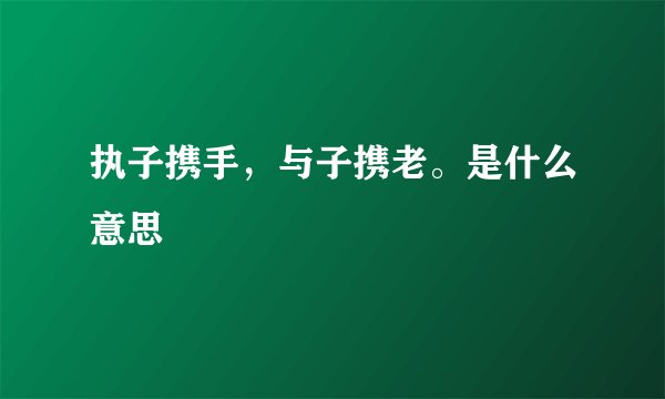 执子携手，与子携老。是什么意思