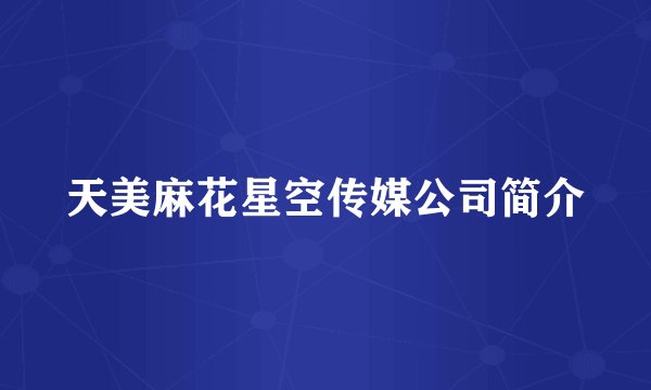 天美麻花星空传媒公司简介