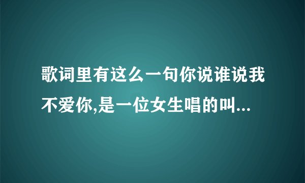 歌词里有这么一句你说谁说我不爱你,是一位女生唱的叫什么歌?