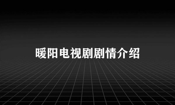 暖阳电视剧剧情介绍