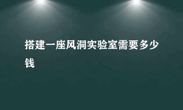 搭建一座风洞实验室需要多少钱