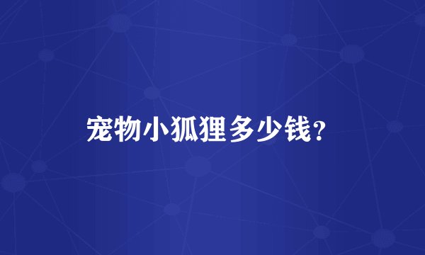 宠物小狐狸多少钱？