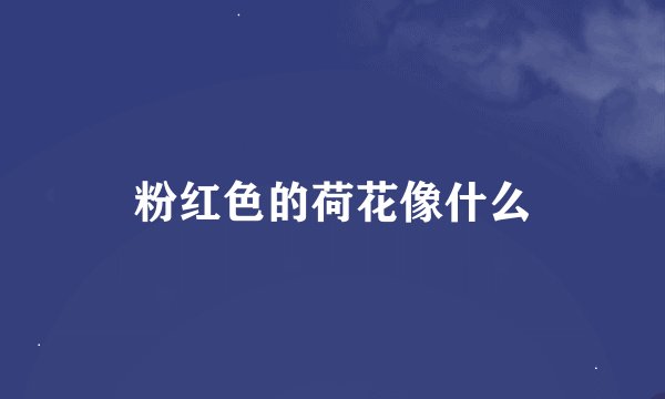 粉红色的荷花像什么