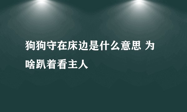 狗狗守在床边是什么意思 为啥趴着看主人