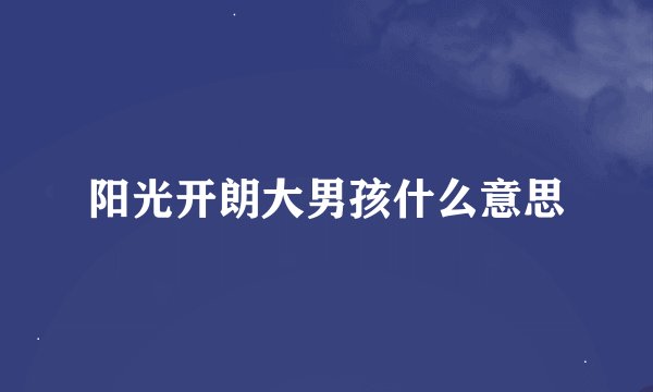 阳光开朗大男孩什么意思