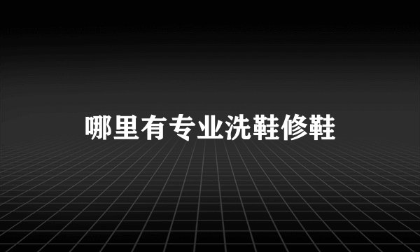 哪里有专业洗鞋修鞋