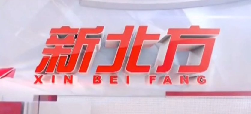 辽宁新北方和大海热线在网上能看吗？