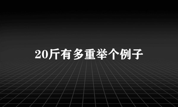 20斤有多重举个例子