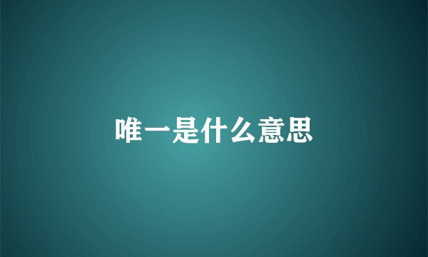 唯一是什么意思