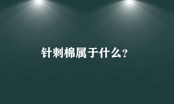 针刺棉属于什么？