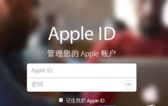 appleid账号密码是什么？