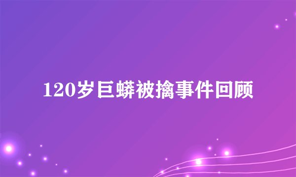 120岁巨蟒被擒事件回顾