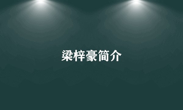 梁梓豪简介