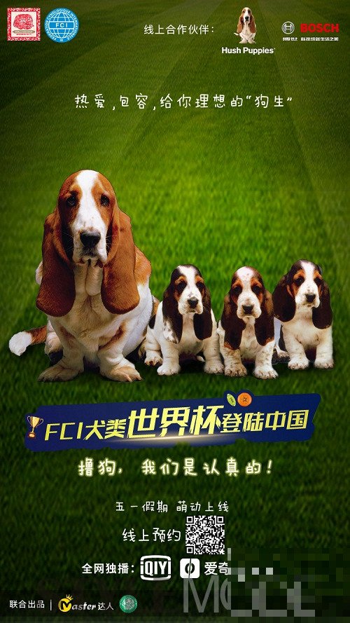 暇步士的狗是什么品种？有哪些特点呢？