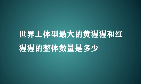 世界上体型最大的黄猩猩和红猩猩的整体数量是多少