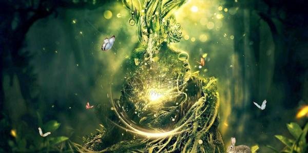 8本已完结主角重生为虫子或细胞的进化类小说,体验不一样的旅途