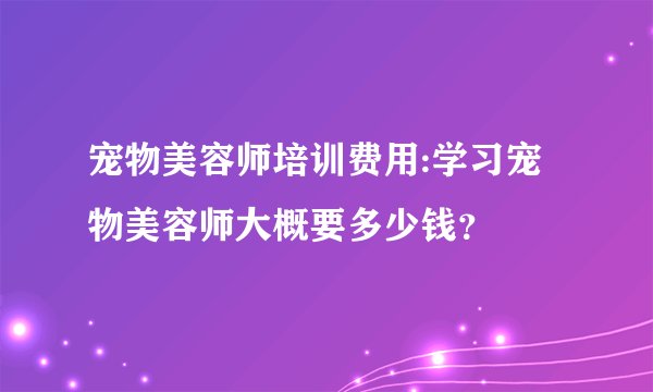 宠物美容师培训费用:学习宠物美容师大概要多少钱？