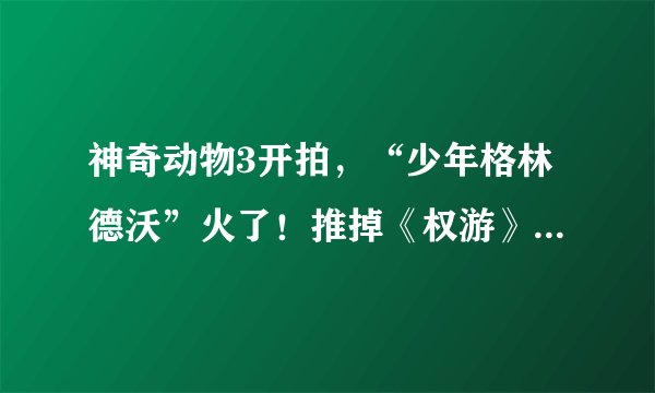 神奇动物3开拍，“少年格林德沃”火了！推掉《权游》邀约、神颜迷倒裘德洛：网友：这个男人我等了足足7年