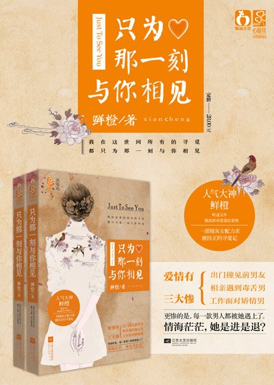 只为那一刻与你相见的内容简介