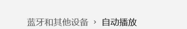 Windows11如何关闭自动播放？