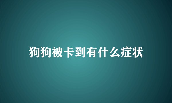 狗狗被卡到有什么症状