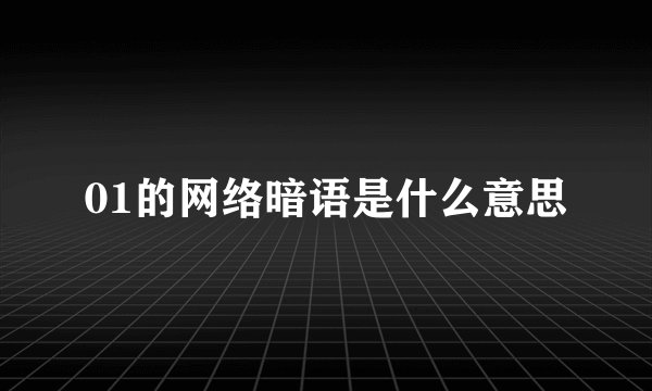 01的网络暗语是什么意思