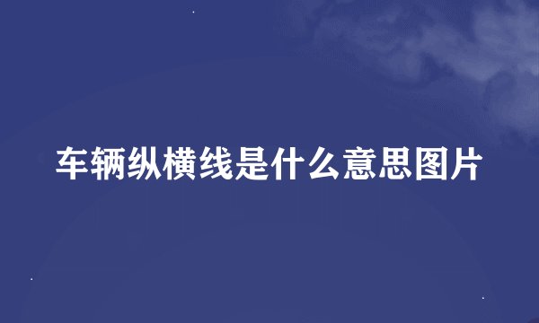 车辆纵横线是什么意思图片