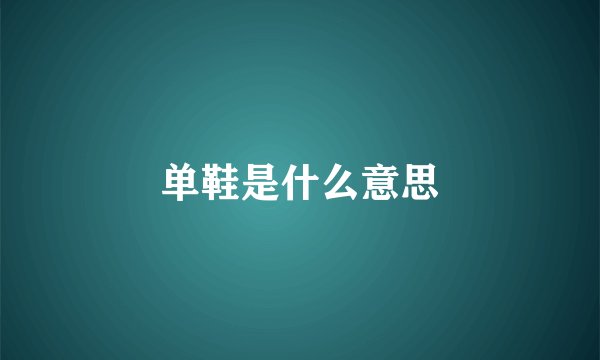 单鞋是什么意思