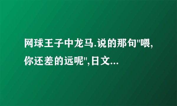 网球王子中龙马.说的那句