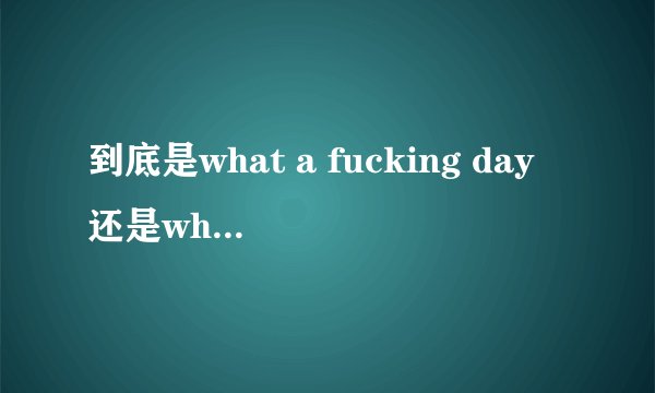 到底是what a fucking day还是what is a fucking day