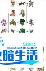 nds数码宝贝日光攻略