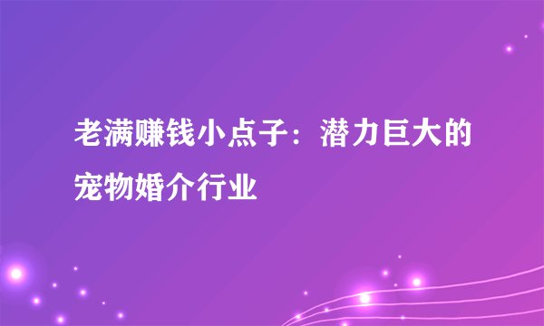 老满赚钱小点子：潜力巨大的宠物婚介行业