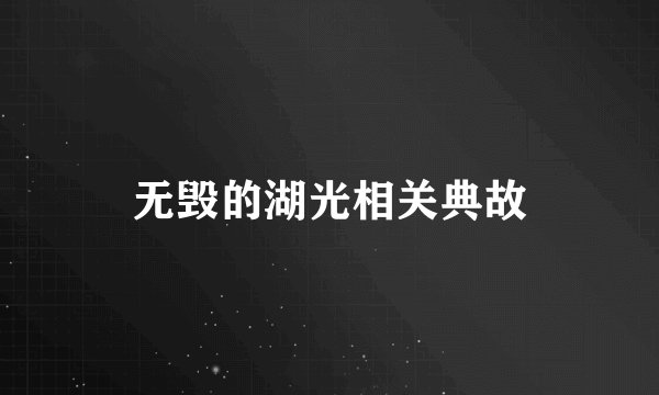 无毁的湖光相关典故