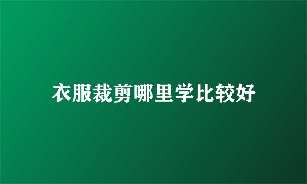 衣服裁剪哪里学比较好