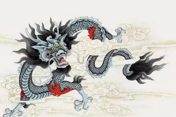 归心如飞是什么生肖动物