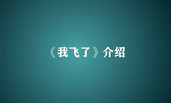 《我飞了》介绍