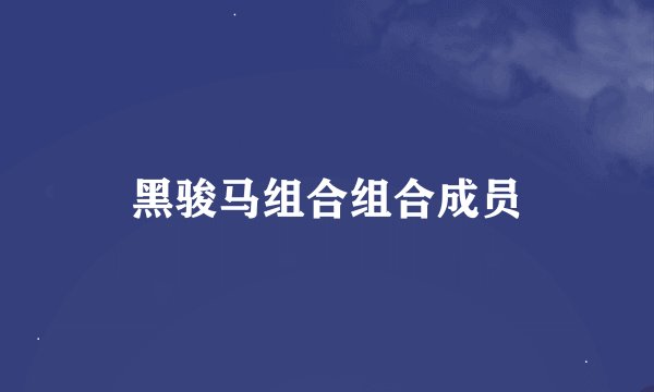 黑骏马组合组合成员