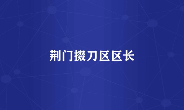荆门掇刀区区长