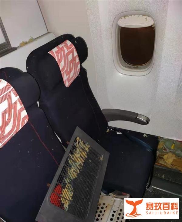 法航乘客回忆班机起火惊魂一刻 这是咋情况？
