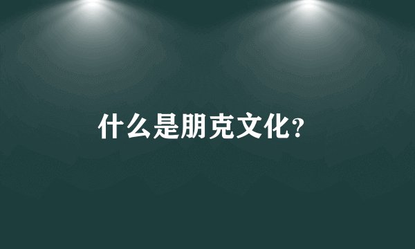 什么是朋克文化？