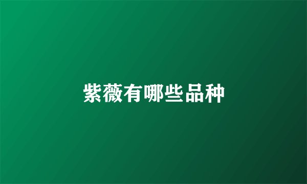 紫薇有哪些品种